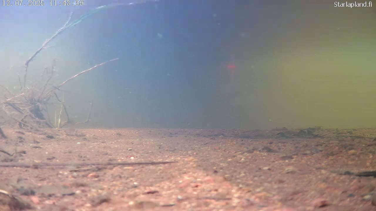 Sodankyla, Kitinen River Underwater Fish World Live Cam -  Sodankylä, Northern Lapland (Pohjois-Lappi), Lapland (Lappi), Finland