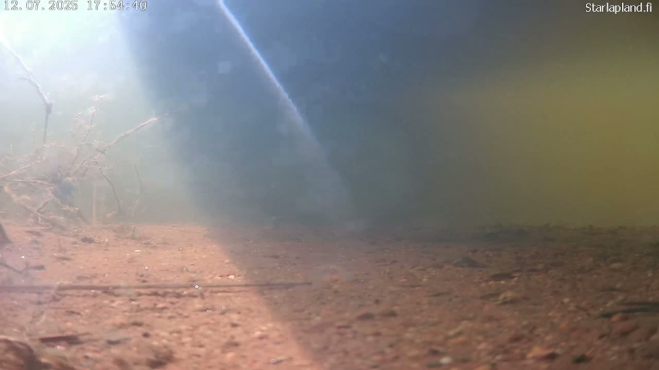 Sodankyla, Kitinen River Underwater Fish World Live Cam -  Sodankylä, Northern Lapland (Pohjois-Lappi), Lapland (Lappi), Finland
