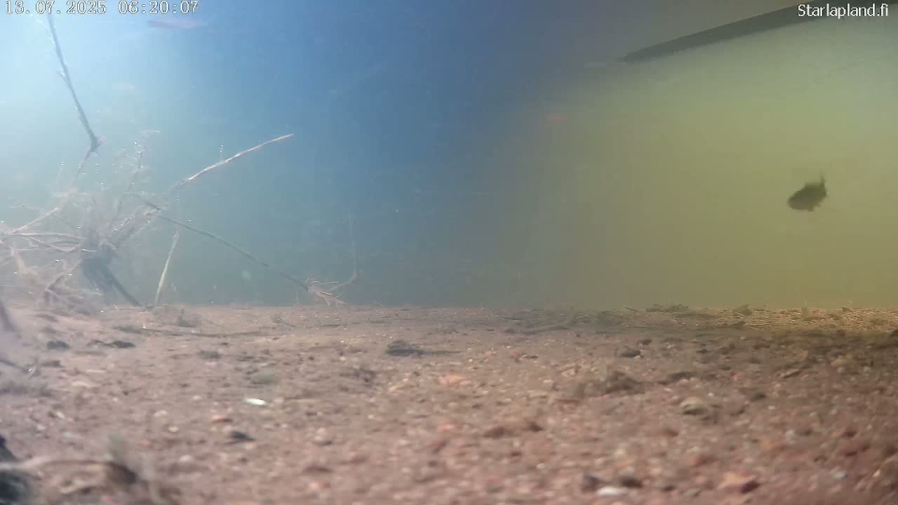 Sodankyla, Kitinen River Underwater Fish World Live Cam -  Sodankylä, Northern Lapland (Pohjois-Lappi), Lapland (Lappi), Finland