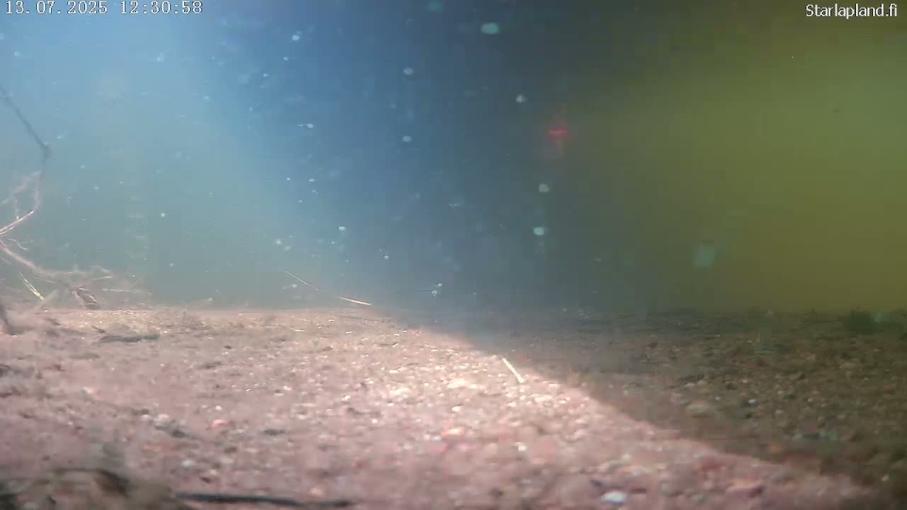 Sodankyla, Kitinen River Underwater Fish World Live Cam -  Sodankylä, Northern Lapland (Pohjois-Lappi), Lapland (Lappi), Finland