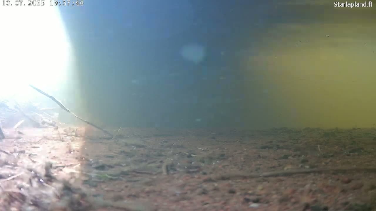 Sodankyla, Kitinen River Underwater Fish World Live Cam -  Sodankylä, Northern Lapland (Pohjois-Lappi), Lapland (Lappi), Finland