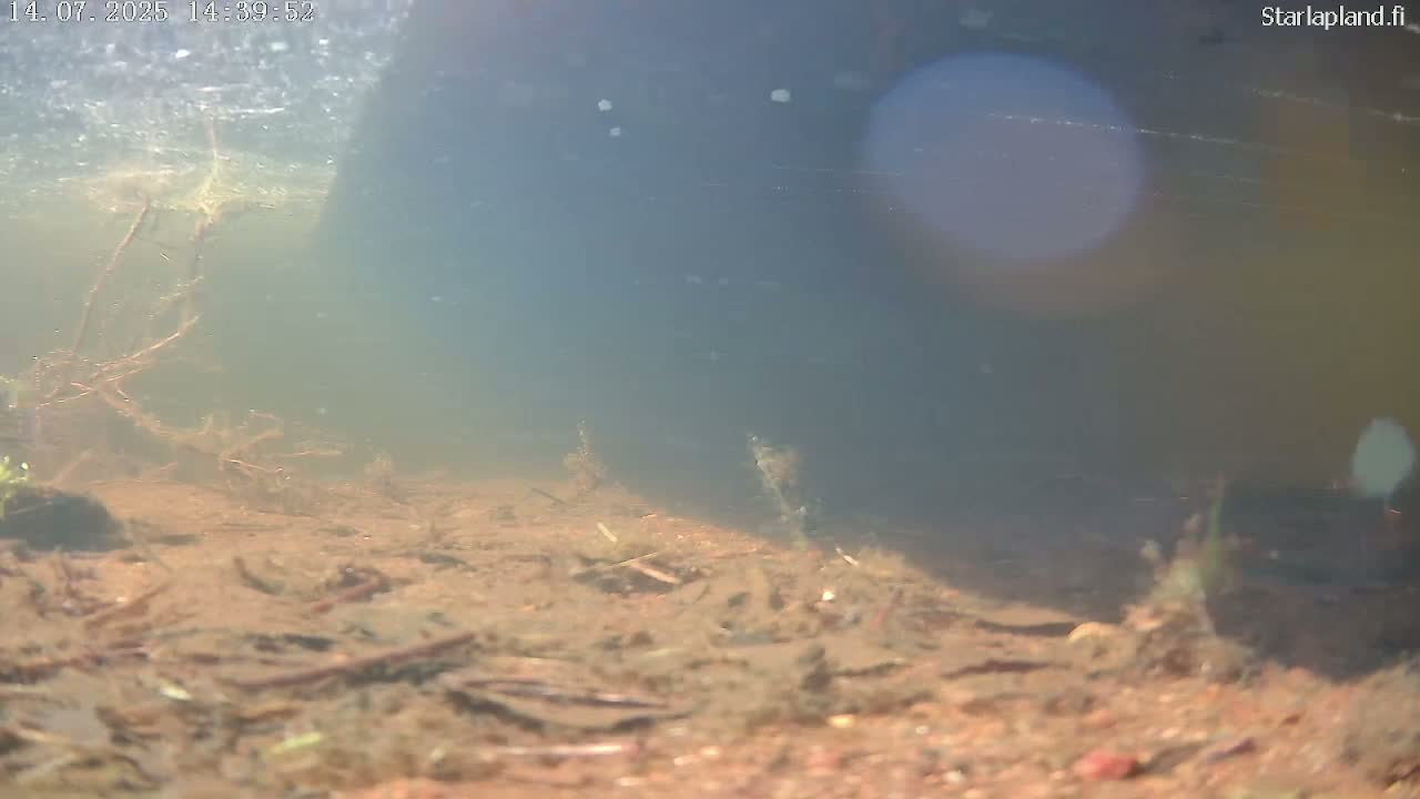 Sodankyla, Kitinen River Underwater Fish World Live Cam -  Sodankylä, Northern Lapland (Pohjois-Lappi), Lapland (Lappi), Finland