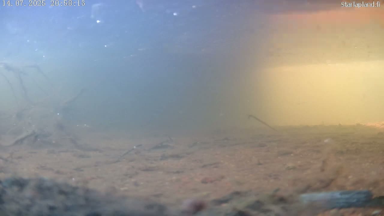 Sodankyla, Kitinen River Underwater Fish World Live Cam -  Sodankylä, Northern Lapland (Pohjois-Lappi), Lapland (Lappi), Finland