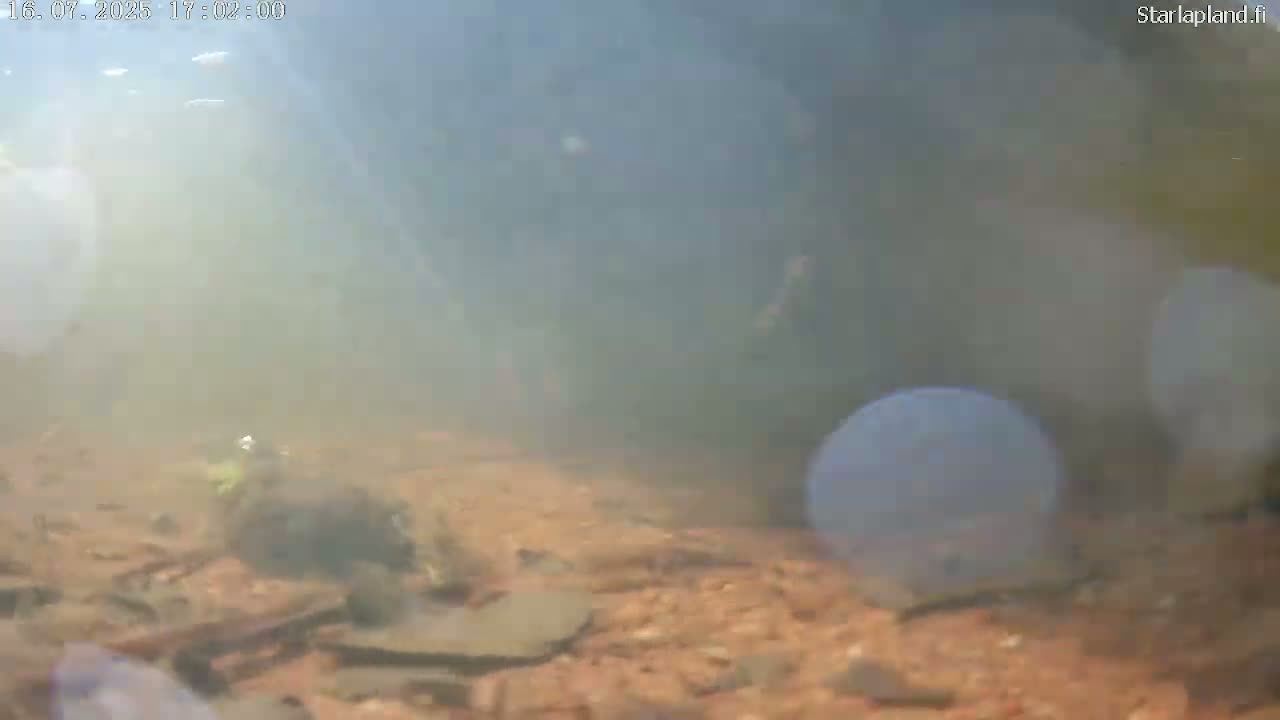 Sodankyla, Kitinen River Underwater Fish World Live Cam -  Sodankylä, Northern Lapland (Pohjois-Lappi), Lapland (Lappi), Finland