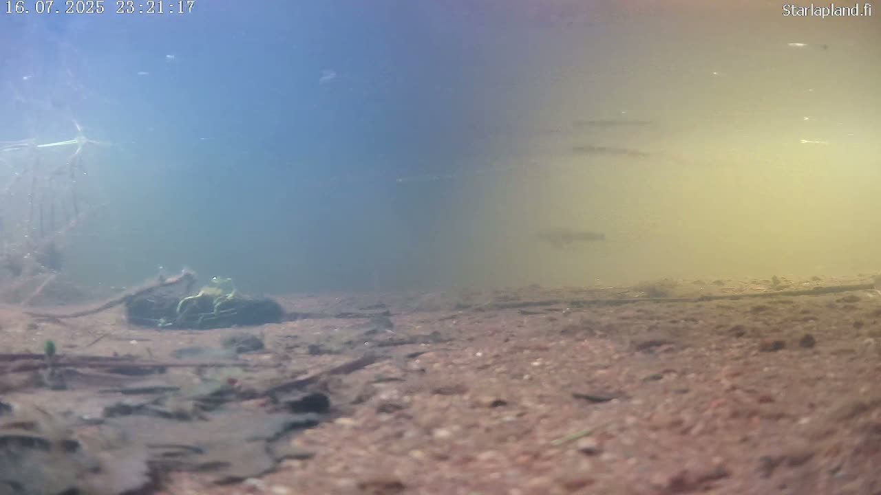 Sodankyla, Kitinen River Underwater Fish World Live Cam -  Sodankylä, Northern Lapland (Pohjois-Lappi), Lapland (Lappi), Finland
