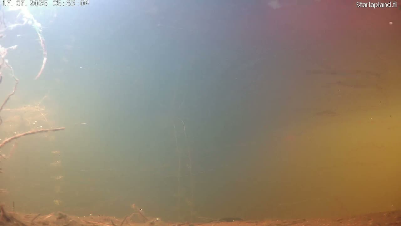 Sodankyla, Kitinen River Underwater Fish World Live Cam -  Sodankylä, Northern Lapland (Pohjois-Lappi), Lapland (Lappi), Finland