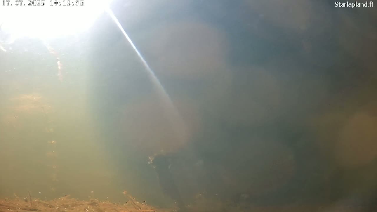 Sodankyla, Kitinen River Underwater Fish World Live Cam -  Sodankylä, Northern Lapland (Pohjois-Lappi), Lapland (Lappi), Finland