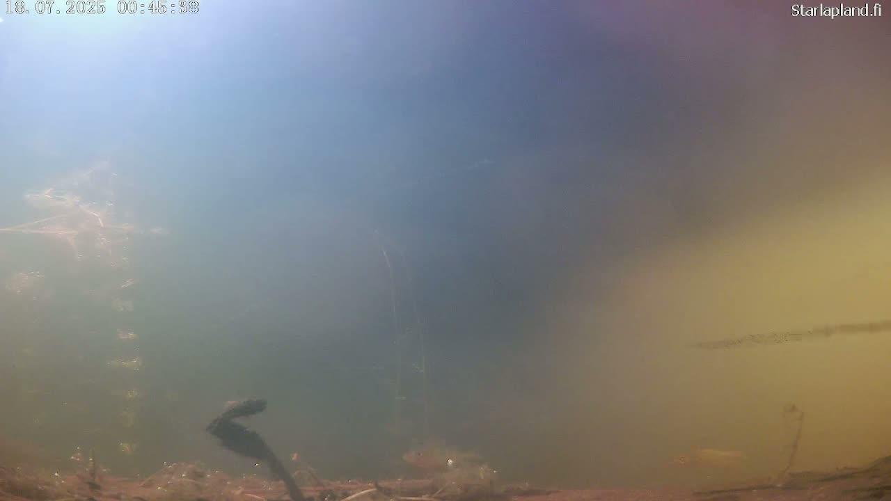 Sodankyla, Kitinen River Underwater Fish World Live Cam -  Sodankylä, Northern Lapland (Pohjois-Lappi), Lapland (Lappi), Finland