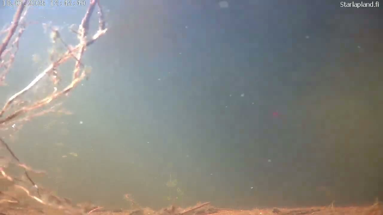 Sodankyla, Kitinen River Underwater Fish World Live Cam -  Sodankylä, Northern Lapland (Pohjois-Lappi), Lapland (Lappi), Finland