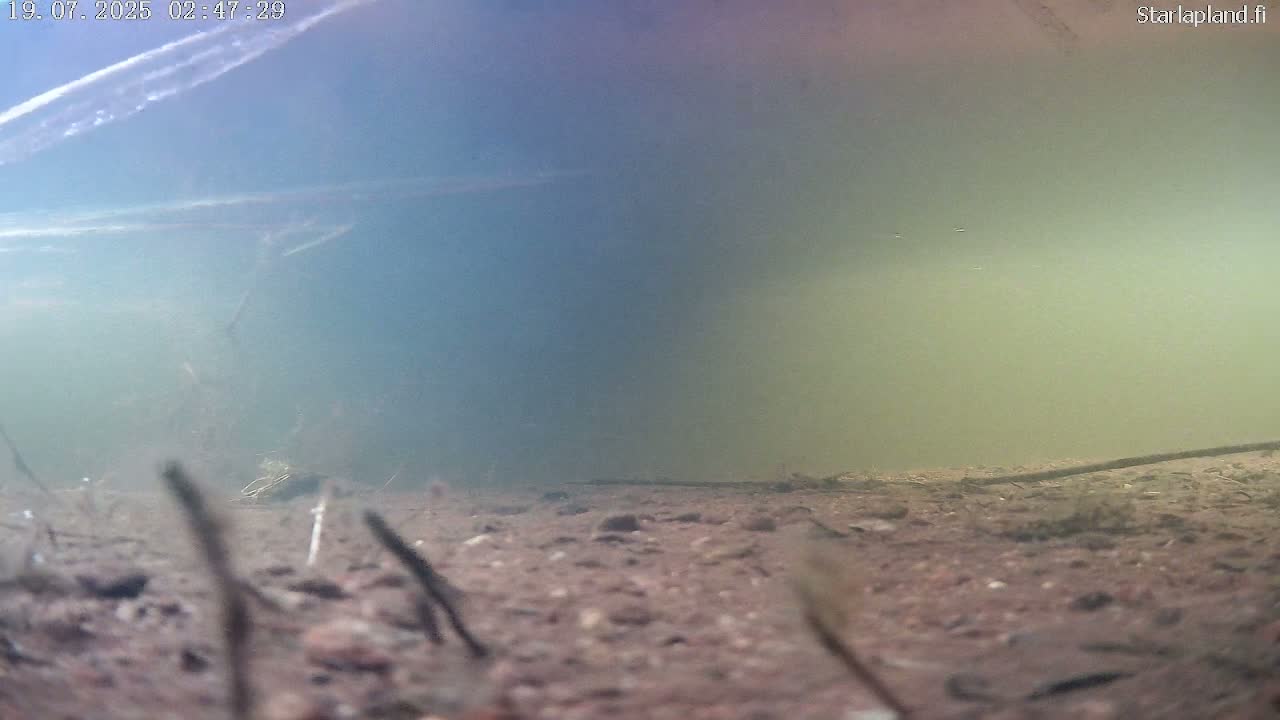 Sodankyla, Kitinen River Underwater Fish World Live Cam -  Sodankylä, Northern Lapland (Pohjois-Lappi), Lapland (Lappi), Finland