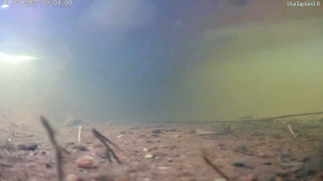 Sodankyla, Kitinen River Underwater Fish World Live Cam -  Sodankylä, Northern Lapland (Pohjois-Lappi), Lapland (Lappi), Finland