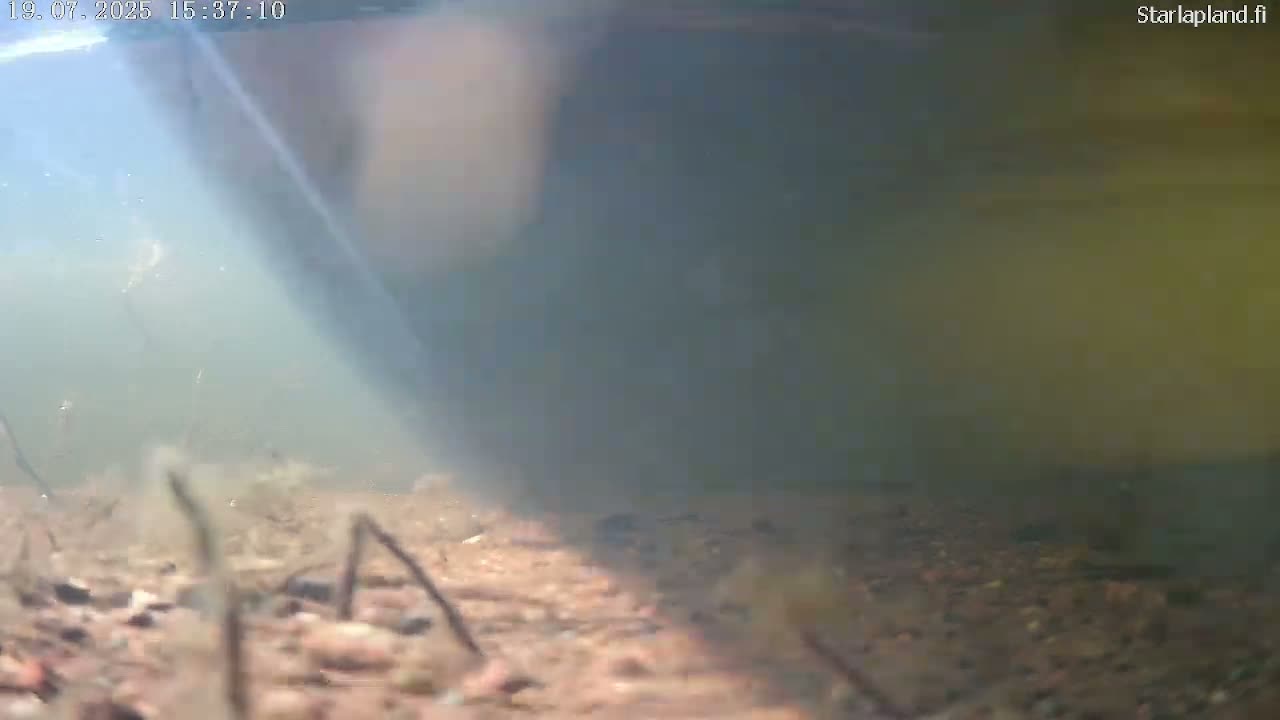 Sodankyla, Kitinen River Underwater Fish World Live Cam -  Sodankylä, Northern Lapland (Pohjois-Lappi), Lapland (Lappi), Finland