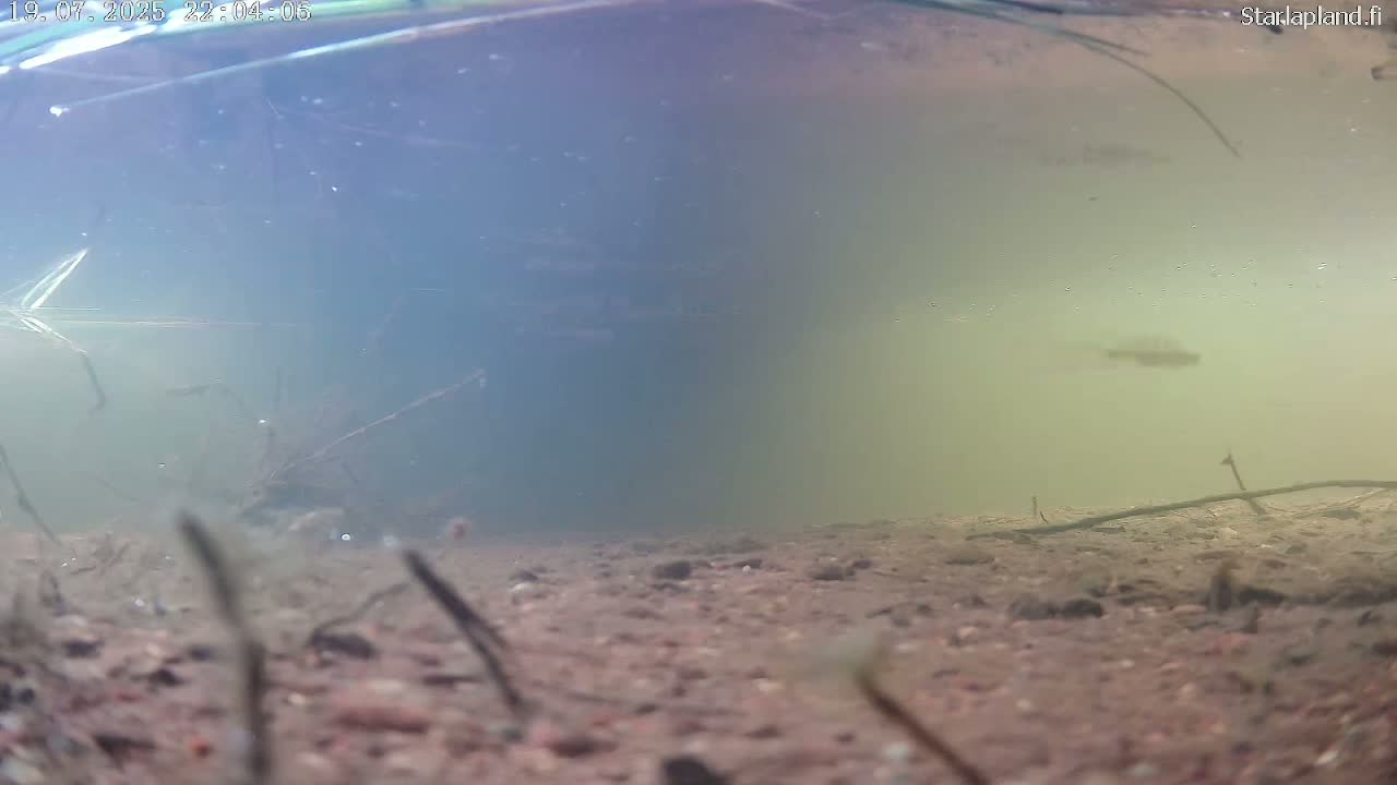 Sodankyla, Kitinen River Underwater Fish World Live Cam -  Sodankylä, Northern Lapland (Pohjois-Lappi), Lapland (Lappi), Finland