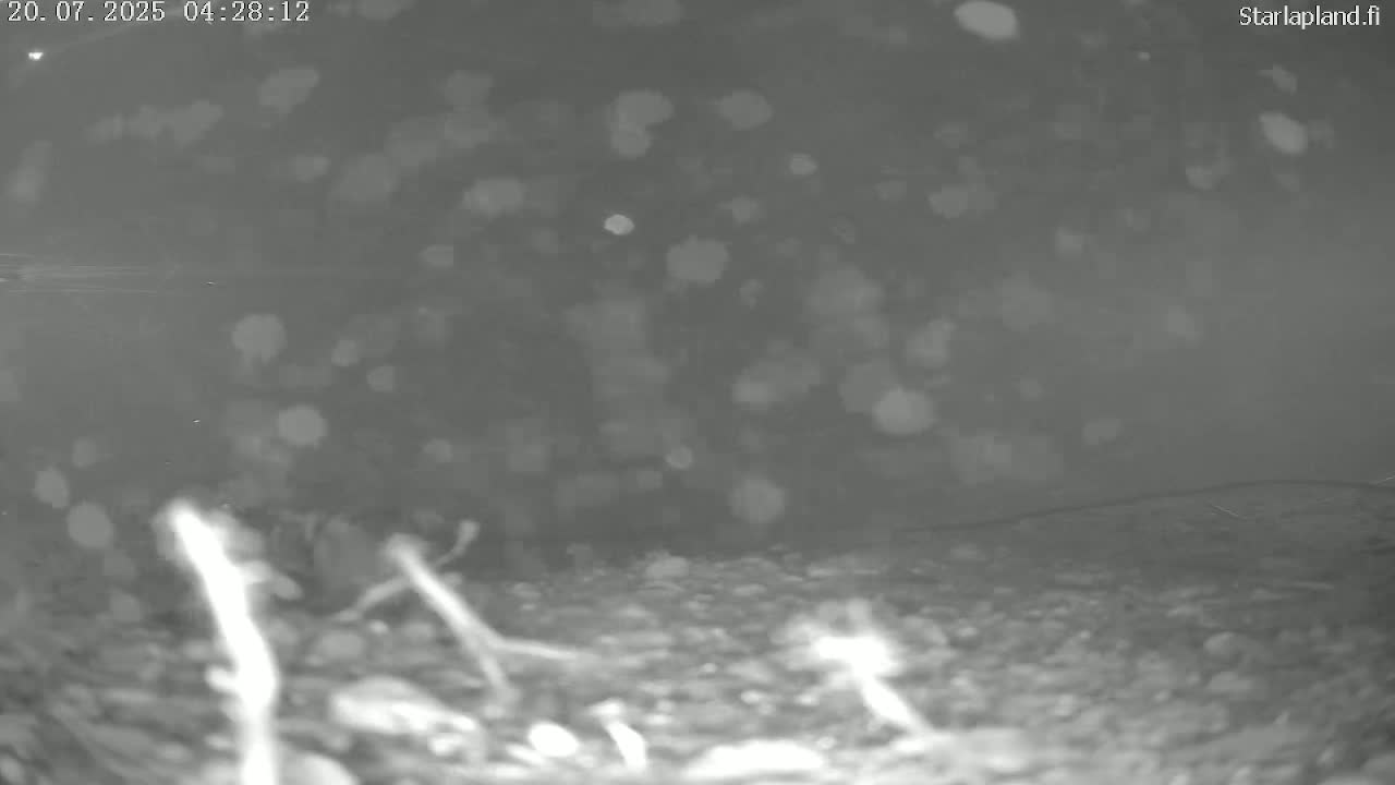 Sodankyla, Kitinen River Underwater Fish World Live Cam -  Sodankylä, Northern Lapland (Pohjois-Lappi), Lapland (Lappi), Finland