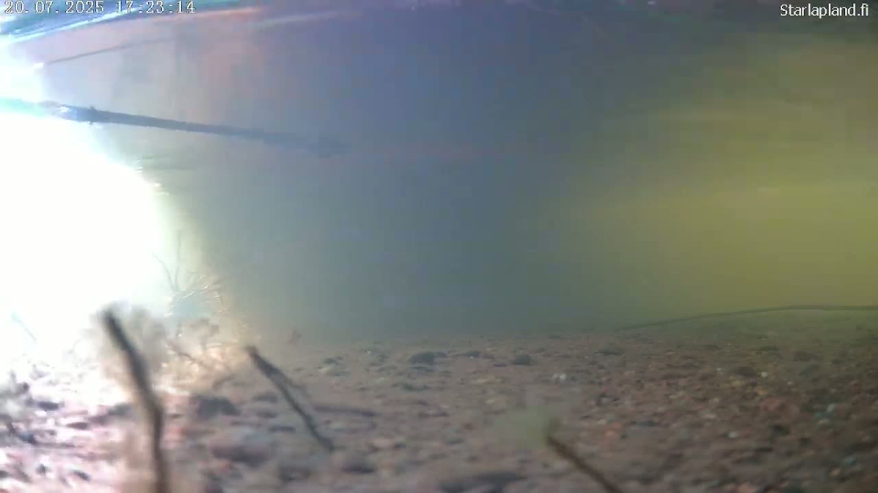 Sodankyla, Kitinen River Underwater Fish World Live Cam -  Sodankylä, Northern Lapland (Pohjois-Lappi), Lapland (Lappi), Finland