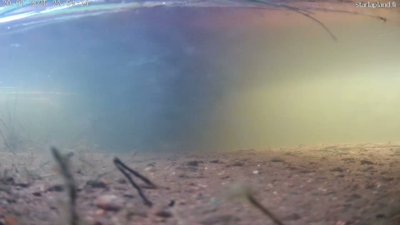 Sodankyla, Kitinen River Underwater Fish World Live Cam -  Sodankylä, Northern Lapland (Pohjois-Lappi), Lapland (Lappi), Finland