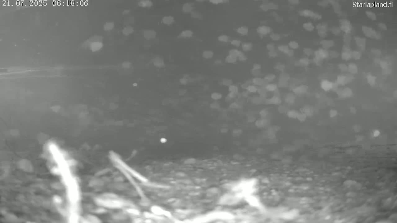 Sodankyla, Kitinen River Underwater Fish World Live Cam -  Sodankylä, Northern Lapland (Pohjois-Lappi), Lapland (Lappi), Finland