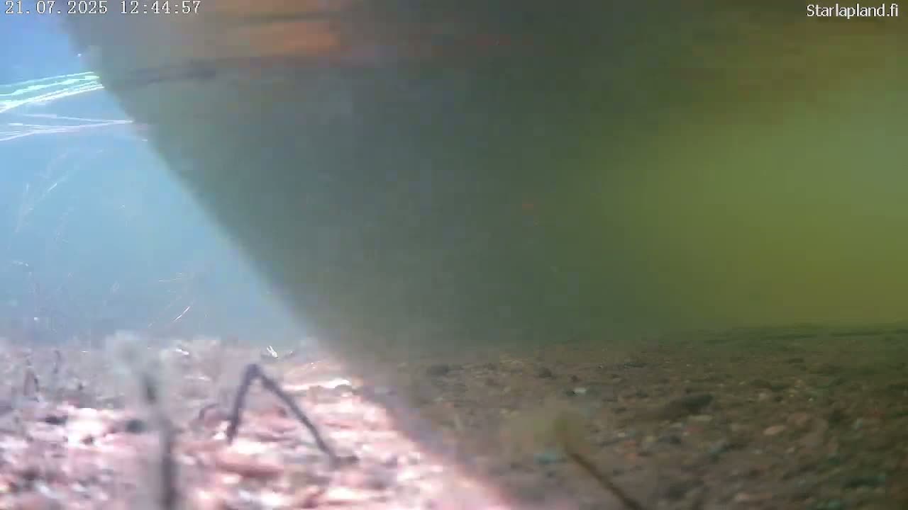 Sodankyla, Kitinen River Underwater Fish World Live Cam -  Sodankylä, Northern Lapland (Pohjois-Lappi), Lapland (Lappi), Finland
