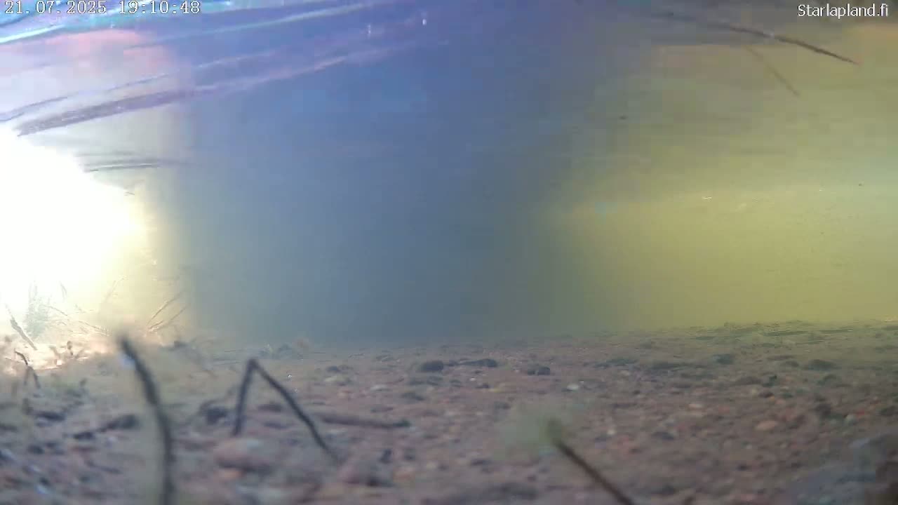 Sodankyla, Kitinen River Underwater Fish World Live Cam -  Sodankylä, Northern Lapland (Pohjois-Lappi), Lapland (Lappi), Finland