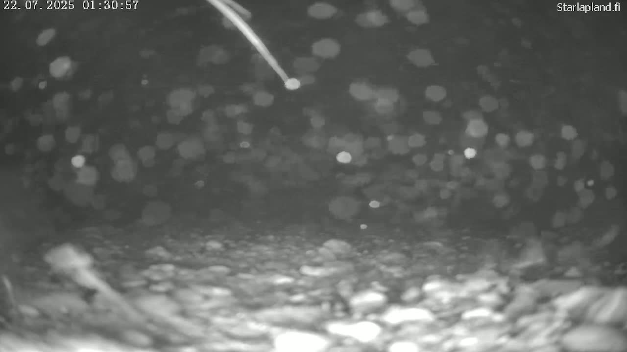 Sodankyla, Kitinen River Underwater Fish World Live Cam -  Sodankylä, Northern Lapland (Pohjois-Lappi), Lapland (Lappi), Finland