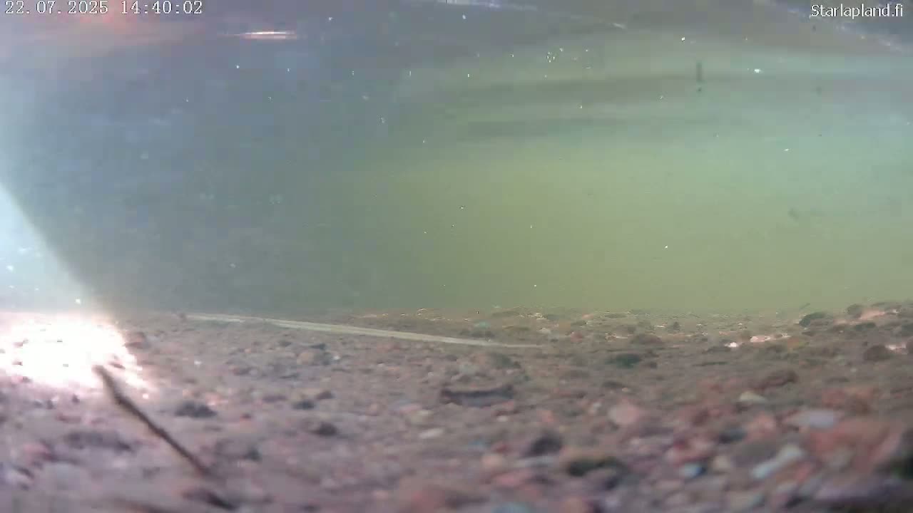 Sodankyla, Kitinen River Underwater Fish World Live Cam -  Sodankylä, Northern Lapland (Pohjois-Lappi), Lapland (Lappi), Finland