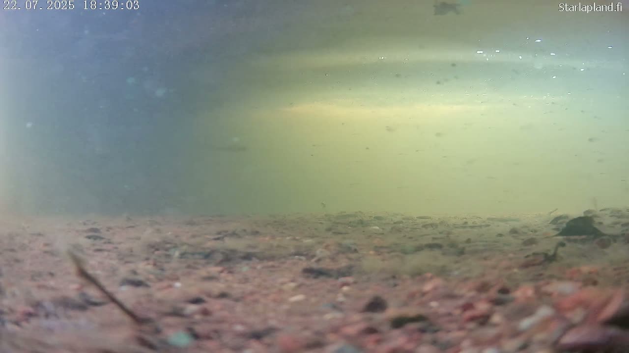 Sodankyla, Kitinen River Underwater Fish World Live Cam -  Sodankylä, Northern Lapland (Pohjois-Lappi), Lapland (Lappi), Finland