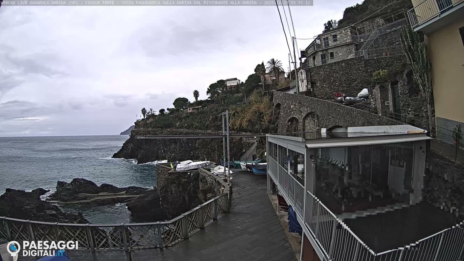Cinque Terre, Manarola Village Marina & Coast Live Cam - La Spezia, Liguria, Italy