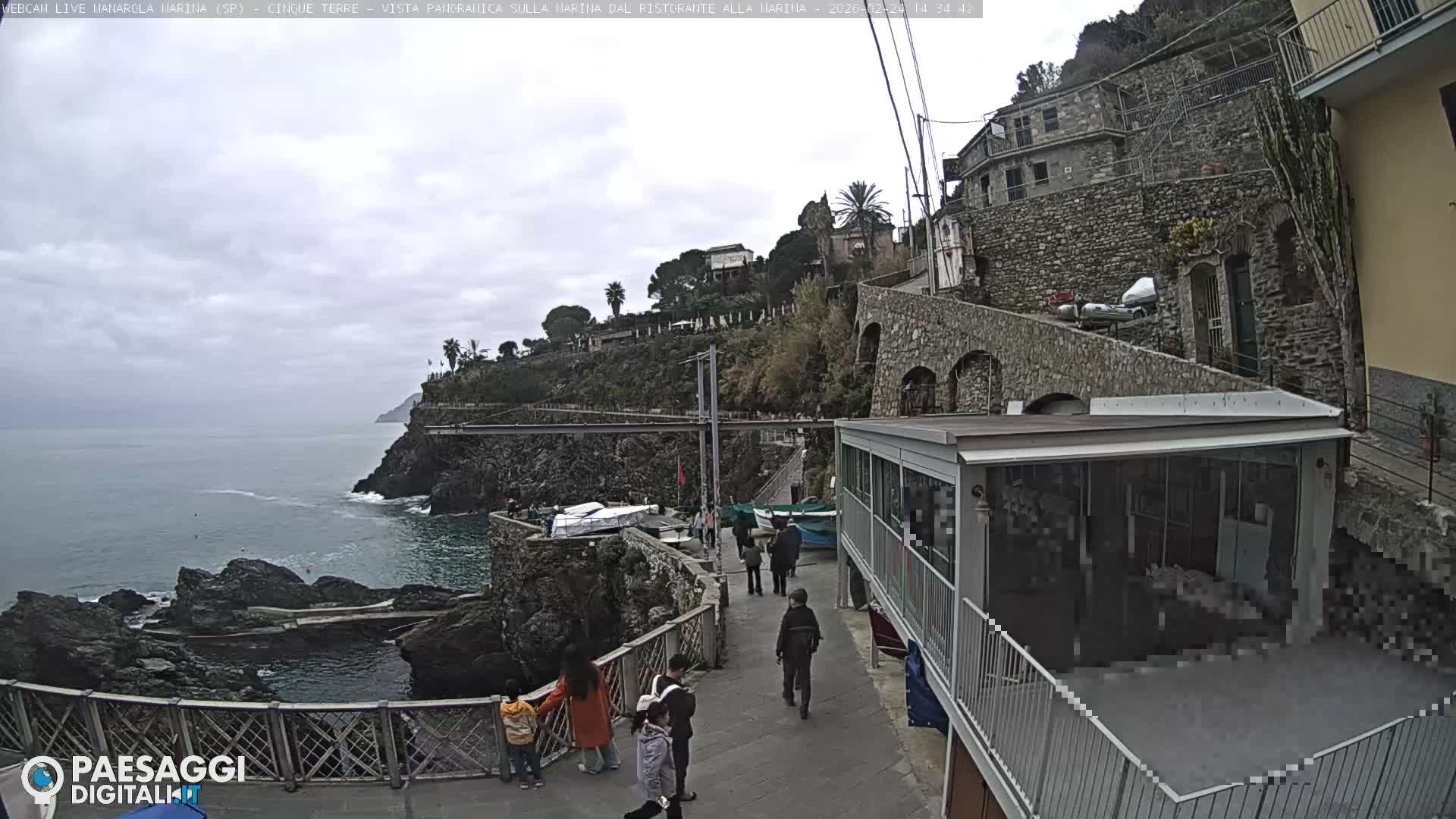 Cinque Terre, Manarola Village Marina & Coast Live Cam - La Spezia, Liguria, Italy