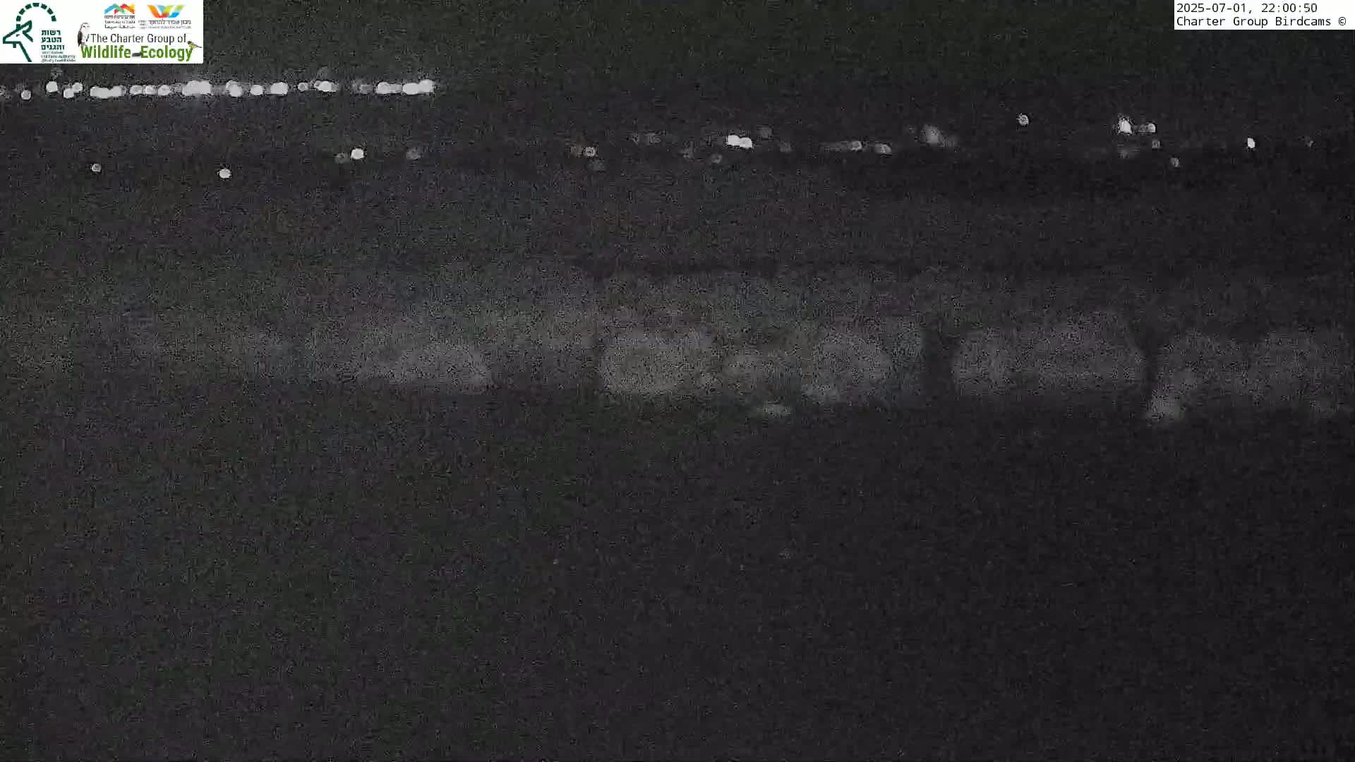 Israel-Syria Border Animal Life, Golan Hills & (Mount Hermon)/Jabal al Shaykh View from Hula Nature Reserve Live Cam - Yesud Hamaala, Northern, Israel