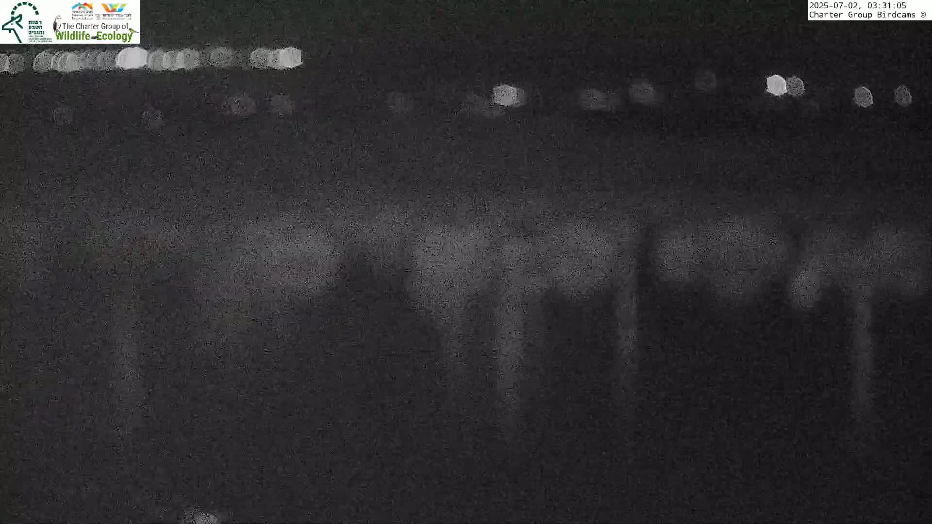 Israel-Syria Border Animal Life, Golan Hills & (Mount Hermon)/Jabal al Shaykh View from Hula Nature Reserve Live Cam - Yesud Hamaala, Northern, Israel