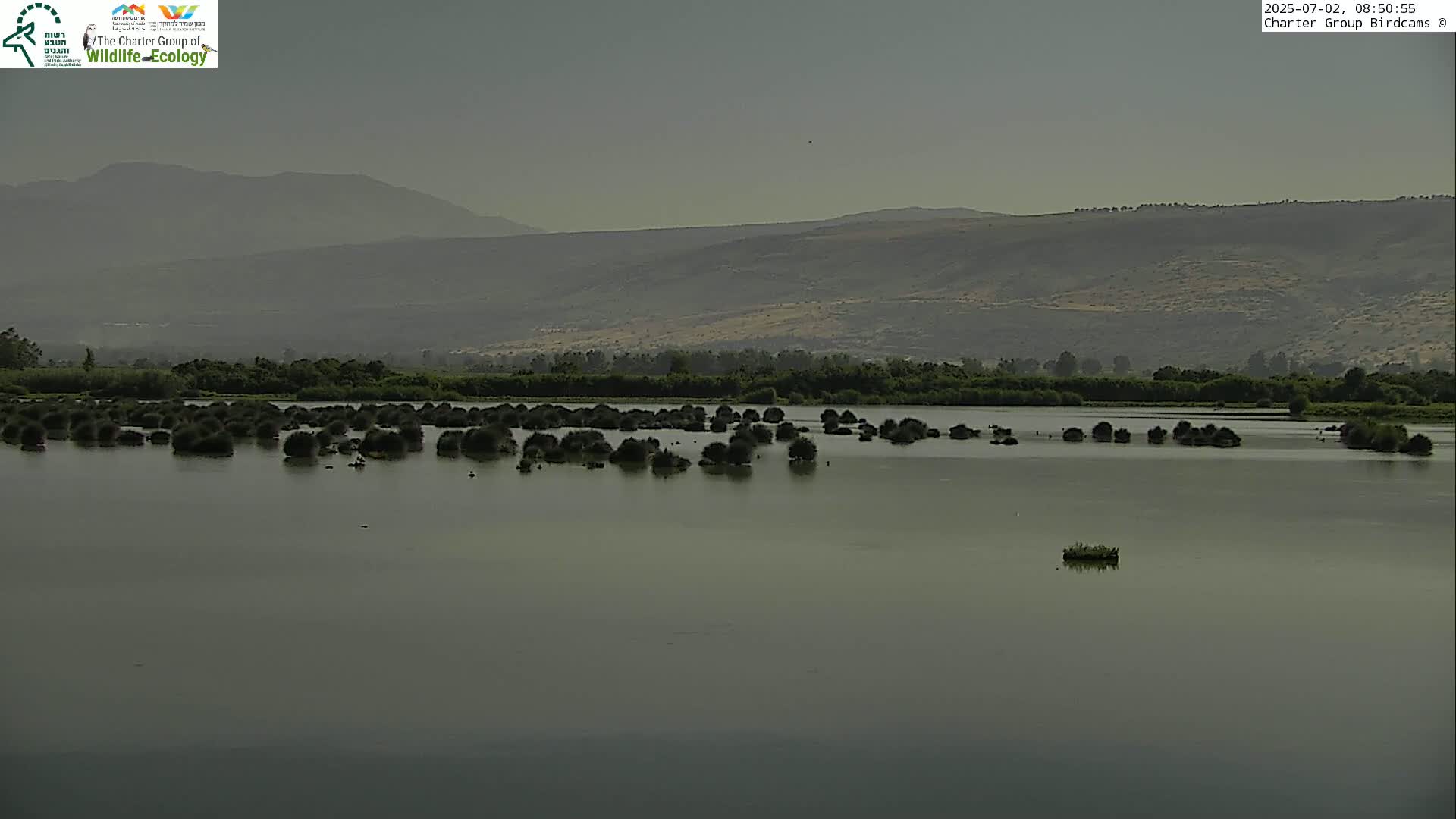 Israel-Syria Border Animal Life, Golan Hills & (Mount Hermon)/Jabal al Shaykh View from Hula Nature Reserve Live Cam - Yesud Hamaala, Northern, Israel