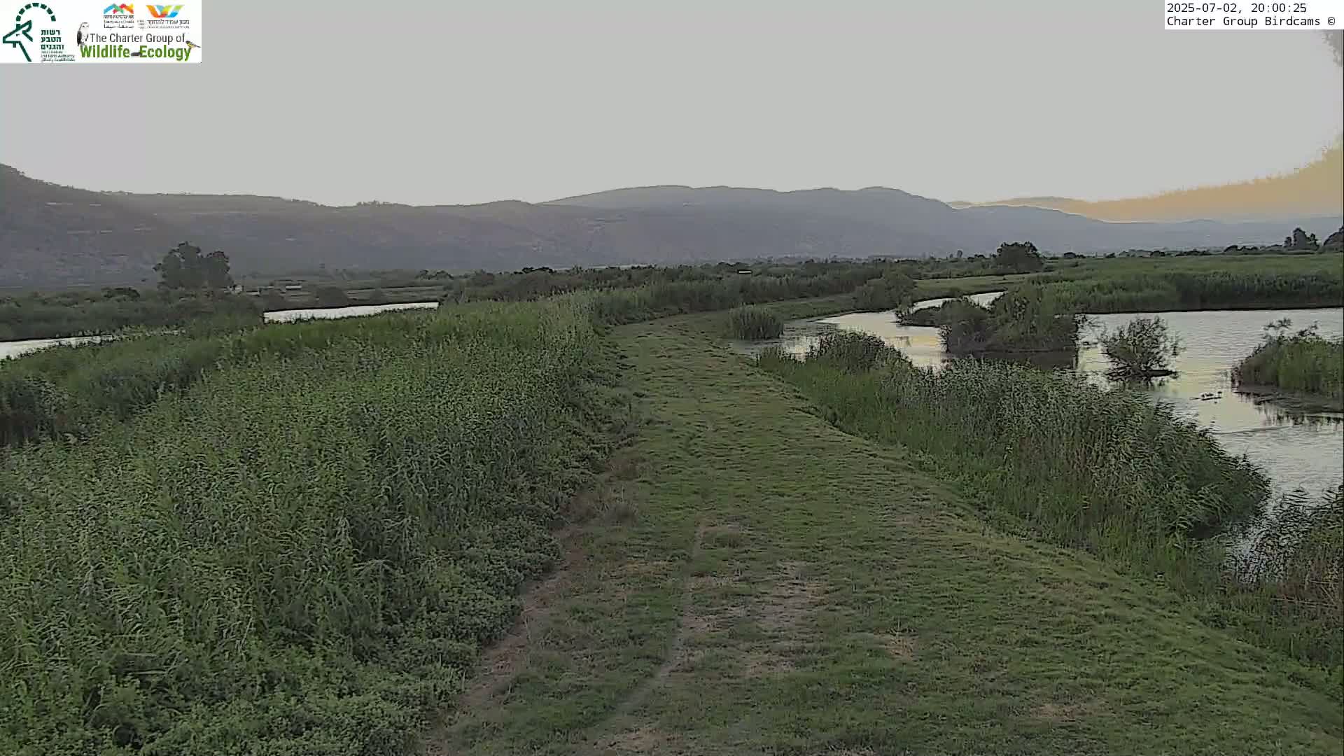 Israel-Syria Border Animal Life, Golan Hills & (Mount Hermon)/Jabal al Shaykh View from Hula Nature Reserve Live Cam - Yesud Hamaala, Northern, Israel