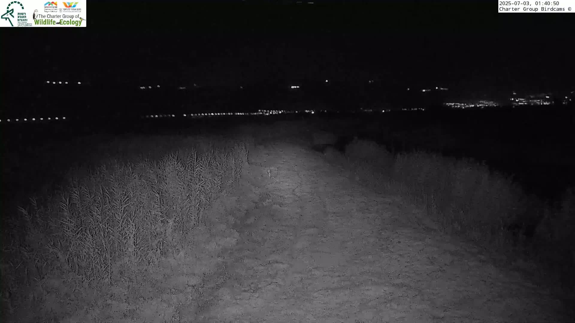 Israel-Syria Border Animal Life, Golan Hills & (Mount Hermon)/Jabal al Shaykh View from Hula Nature Reserve Live Cam - Yesud Hamaala, Northern, Israel
