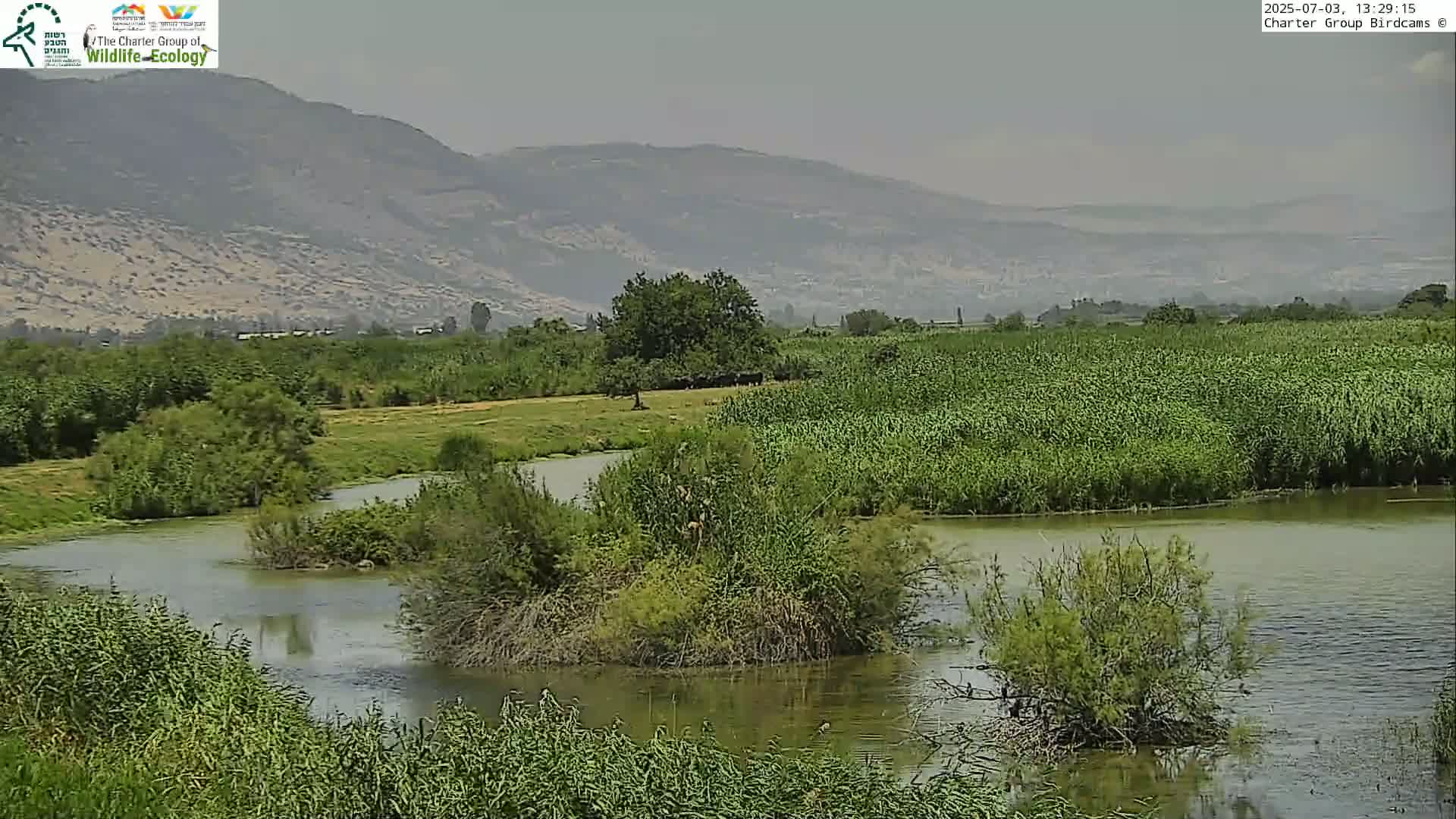 Israel-Syria Border Animal Life, Golan Hills & (Mount Hermon)/Jabal al Shaykh View from Hula Nature Reserve Live Cam - Yesud Hamaala, Northern, Israel