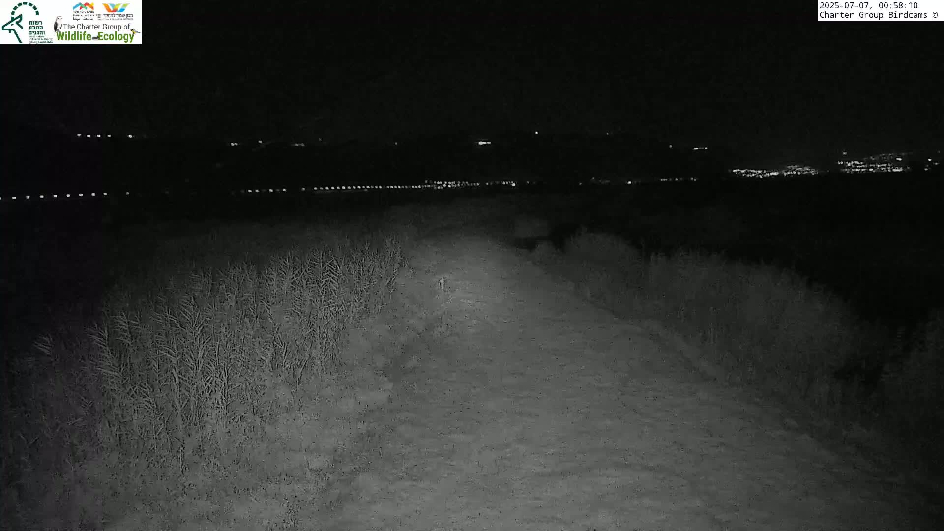 Israel-Syria Border Animal Life, Golan Hills & (Mount Hermon)/Jabal al Shaykh View from Hula Nature Reserve Live Cam - Yesud Hamaala, Northern, Israel