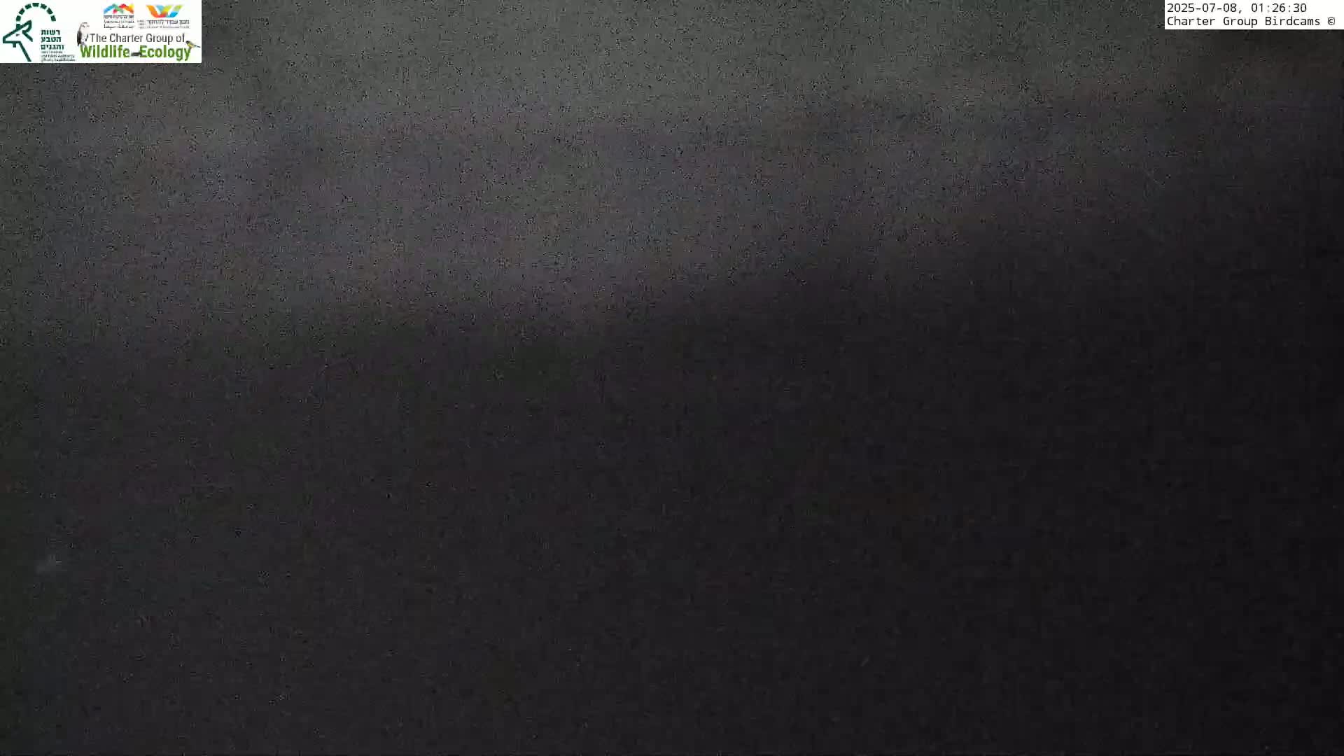 Israel-Syria Border Animal Life, Golan Hills & (Mount Hermon)/Jabal al Shaykh View from Hula Nature Reserve Live Cam - Yesud Hamaala, Northern, Israel