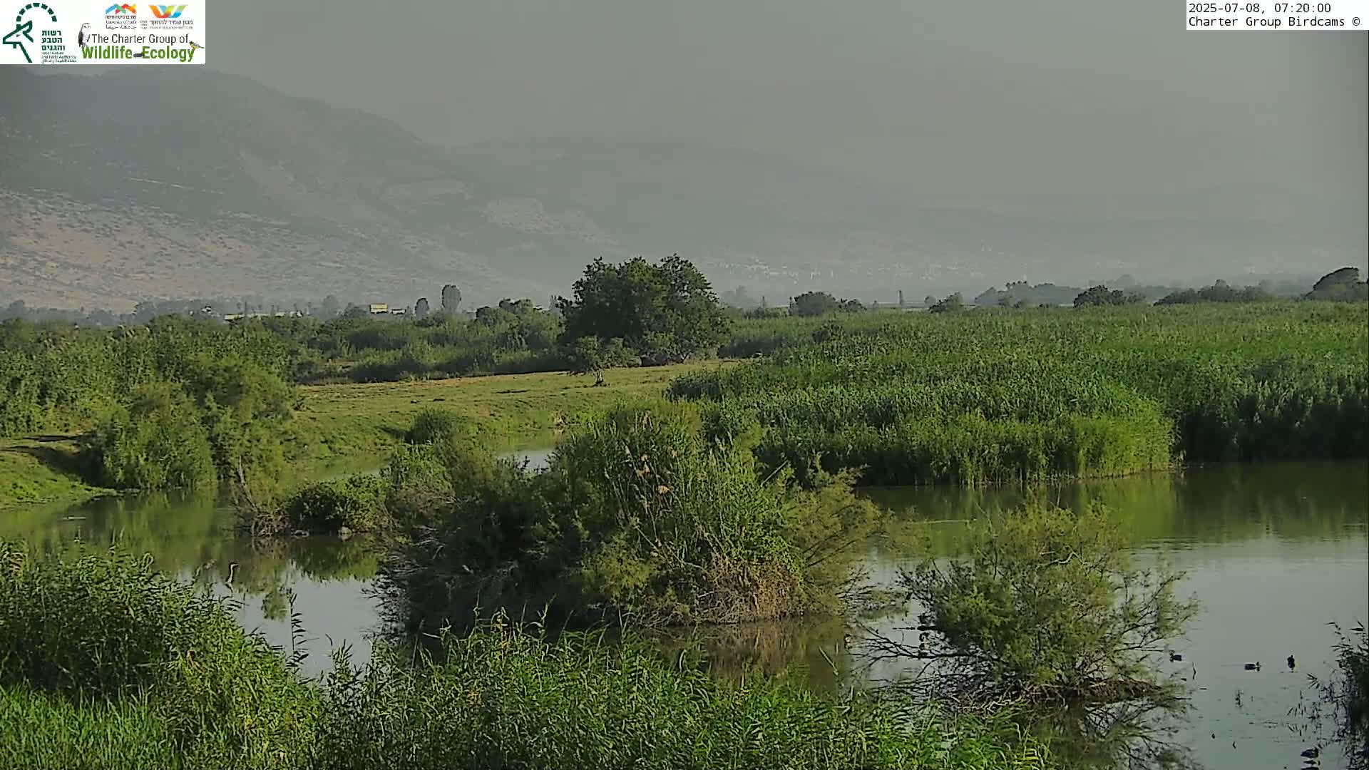 Israel-Syria Border Animal Life, Golan Hills & (Mount Hermon)/Jabal al Shaykh View from Hula Nature Reserve Live Cam - Yesud Hamaala, Northern, Israel