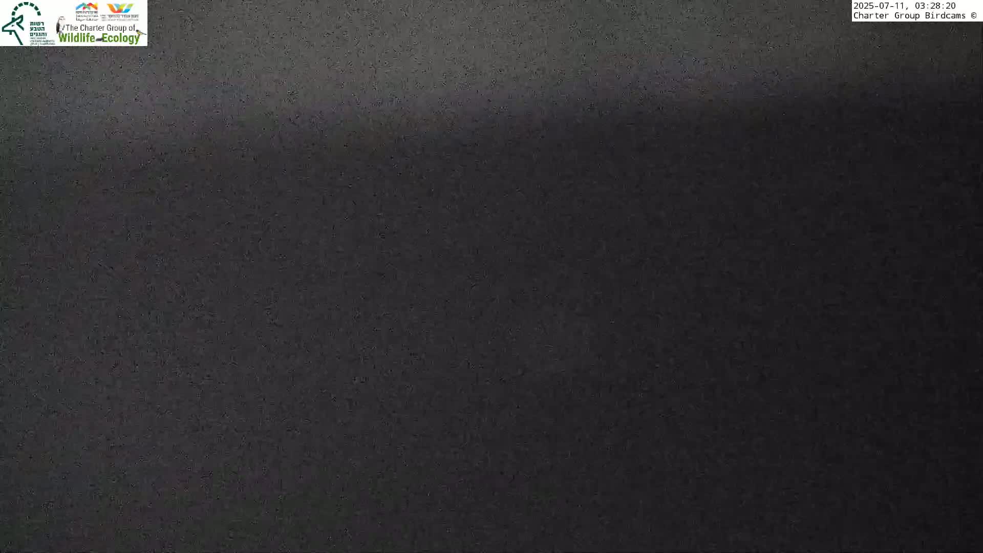 Israel-Syria Border Animal Life, Golan Hills & (Mount Hermon)/Jabal al Shaykh View from Hula Nature Reserve Live Cam - Yesud Hamaala, Northern, Israel