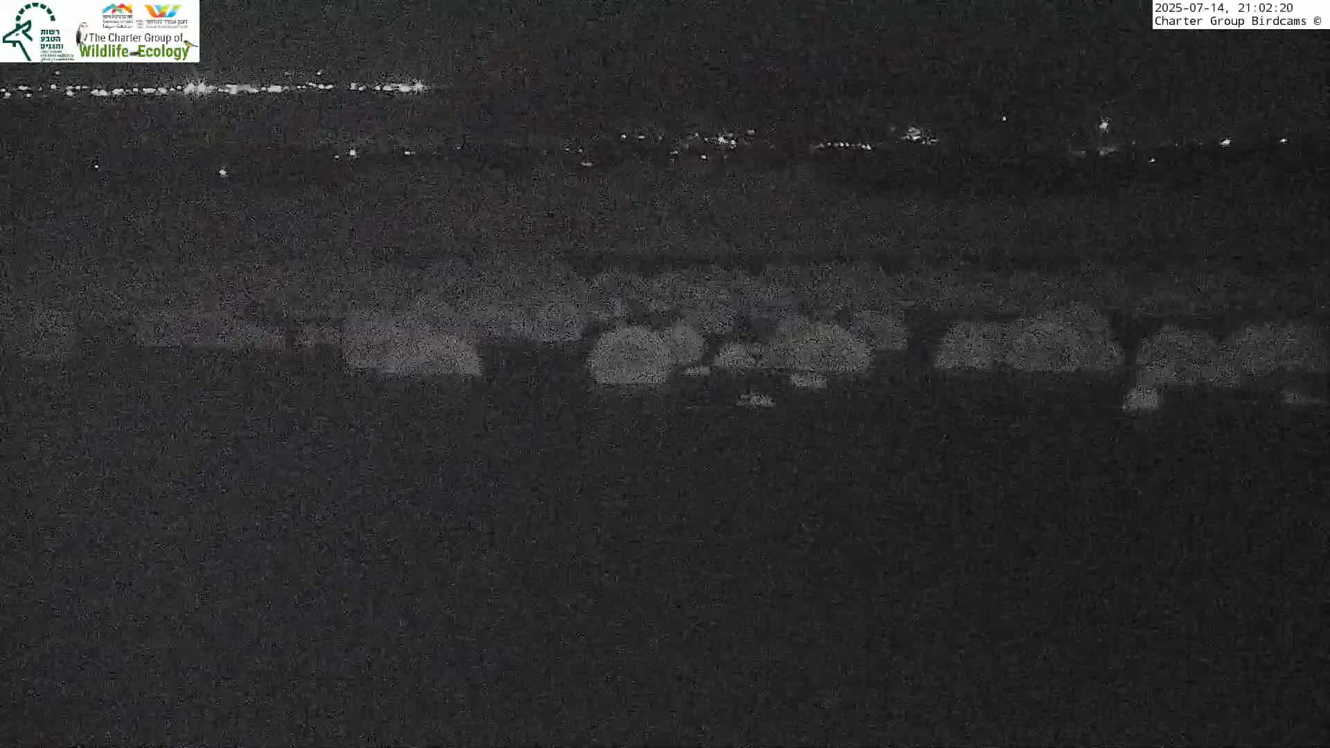 Israel-Syria Border Animal Life, Golan Hills & (Mount Hermon)/Jabal al Shaykh View from Hula Nature Reserve Live Cam - Yesud Hamaala, Northern, Israel