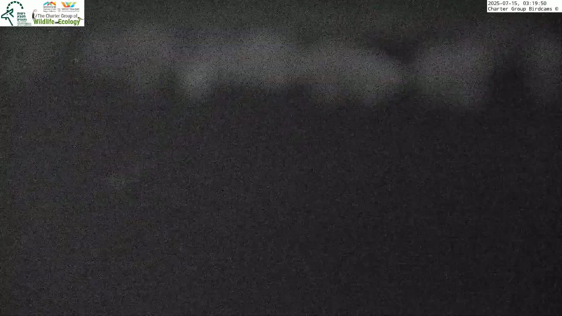 Israel-Syria Border Animal Life, Golan Hills & (Mount Hermon)/Jabal al Shaykh View from Hula Nature Reserve Live Cam - Yesud Hamaala, Northern, Israel