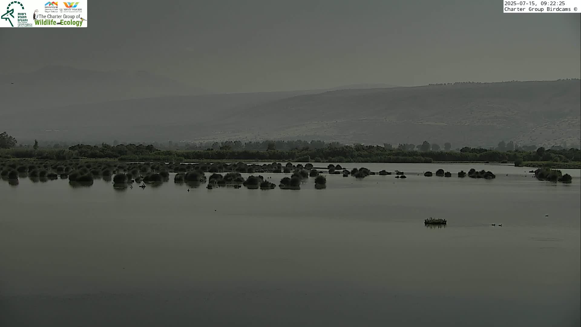 Israel-Syria Border Animal Life, Golan Hills & (Mount Hermon)/Jabal al Shaykh View from Hula Nature Reserve Live Cam - Yesud Hamaala, Northern, Israel