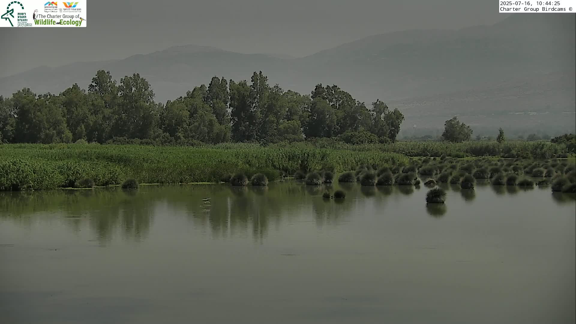 A calm body of water reflects a hazy sky and distant mountains, with lush green vegetation and small, shrubby islands dotting its surface.