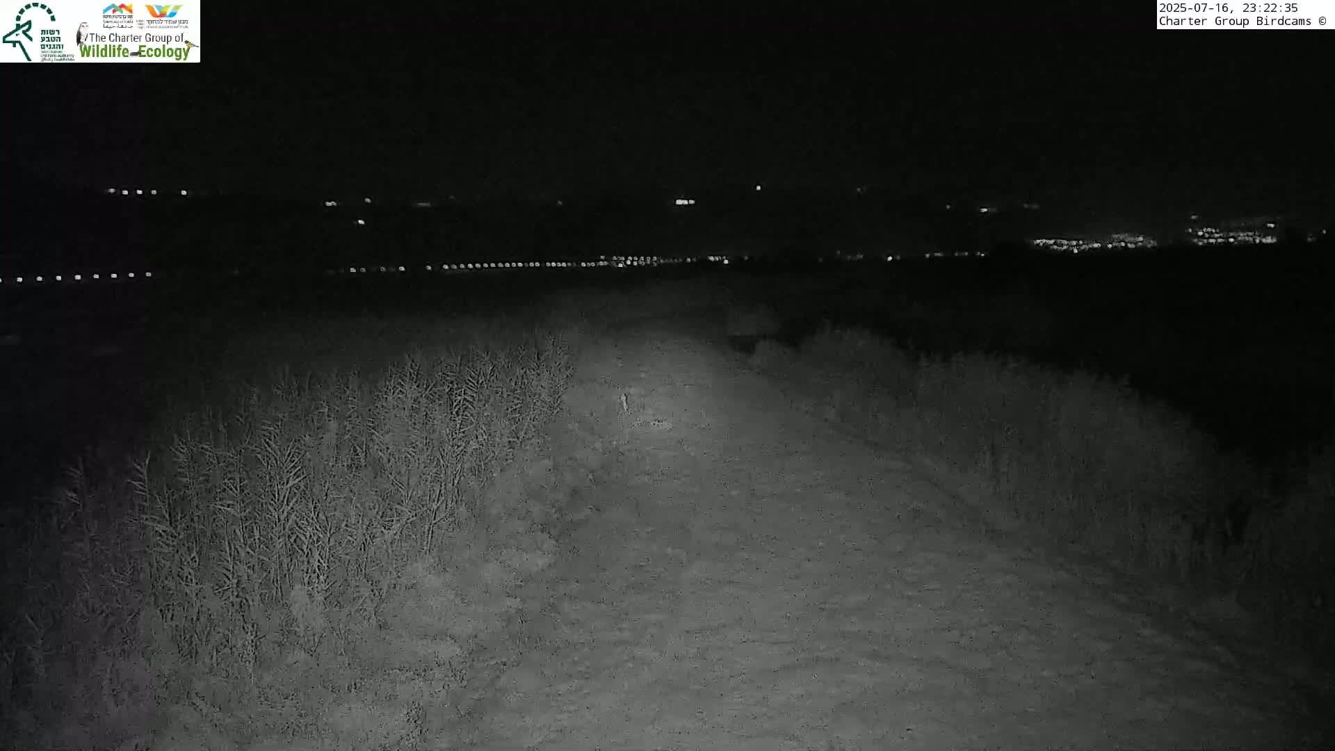 Israel-Syria Border Animal Life, Golan Hills & (Mount Hermon)/Jabal al Shaykh View from Hula Nature Reserve Live Cam - Yesud Hamaala, Northern, Israel