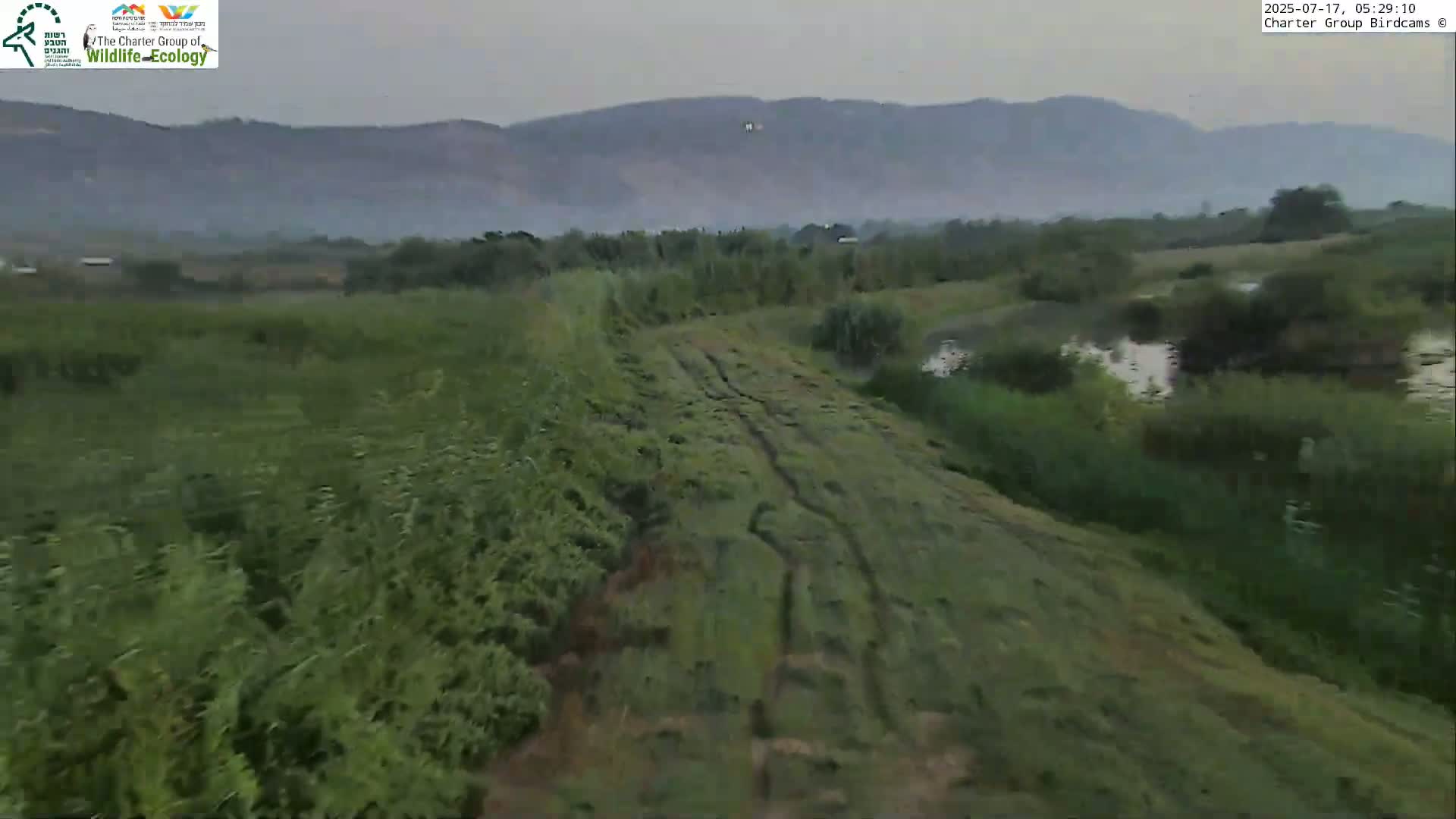 Israel-Syria Border Animal Life, Golan Hills & (Mount Hermon)/Jabal al Shaykh View from Hula Nature Reserve Live Cam - Yesud Hamaala, Northern, Israel