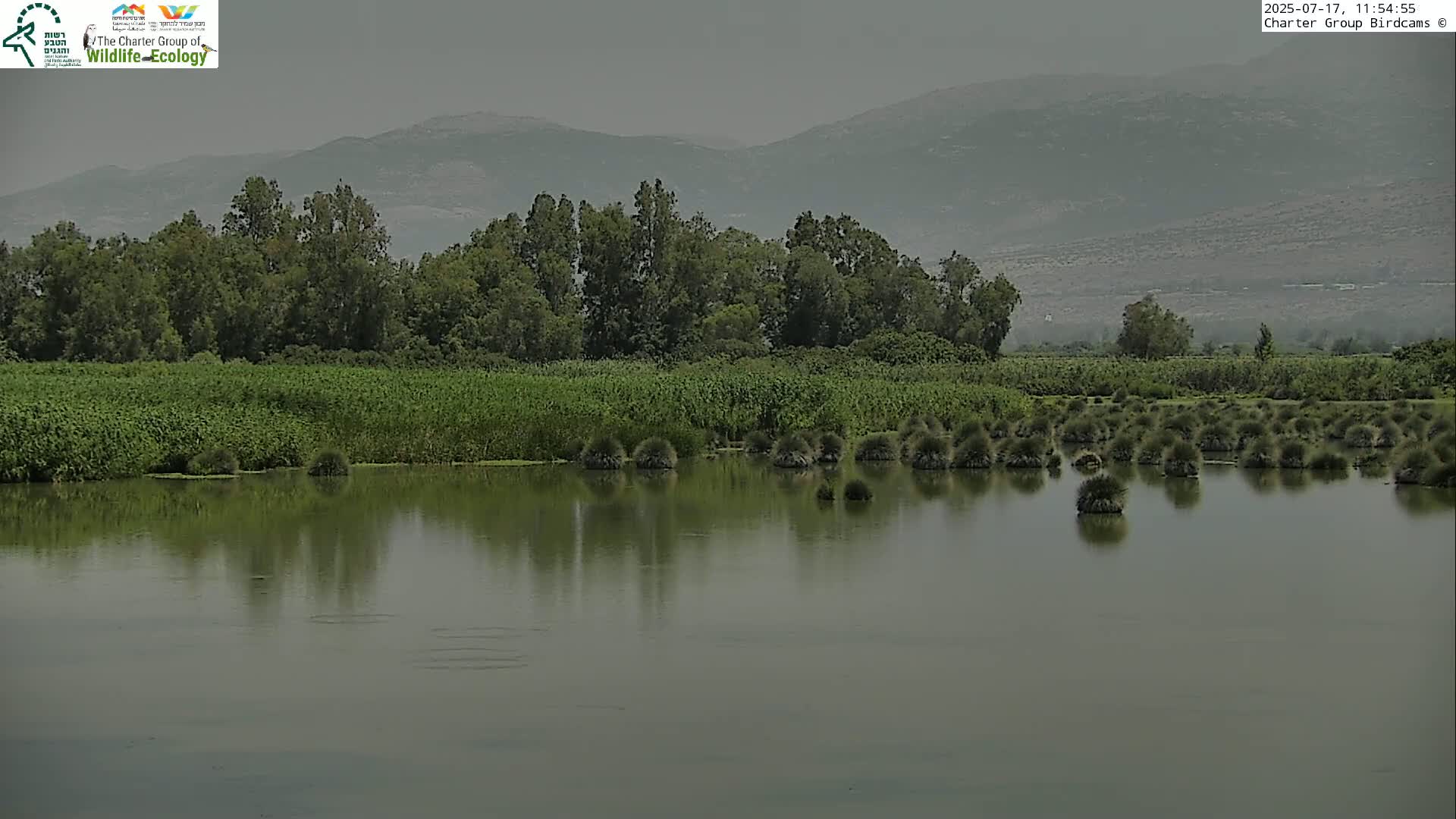 Israel-Syria Border Animal Life, Golan Hills & (Mount Hermon)/Jabal al Shaykh View from Hula Nature Reserve Live Cam - Yesud Hamaala, Northern, Israel