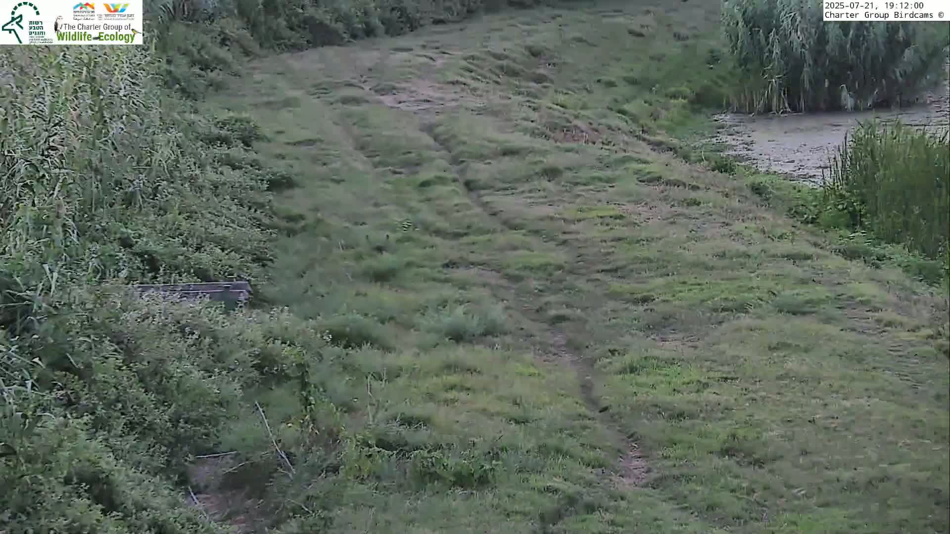 Israel-Syria Border Animal Life, Golan Hills & (Mount Hermon)/Jabal al Shaykh View from Hula Nature Reserve Live Cam - Yesud Hamaala, Northern, Israel