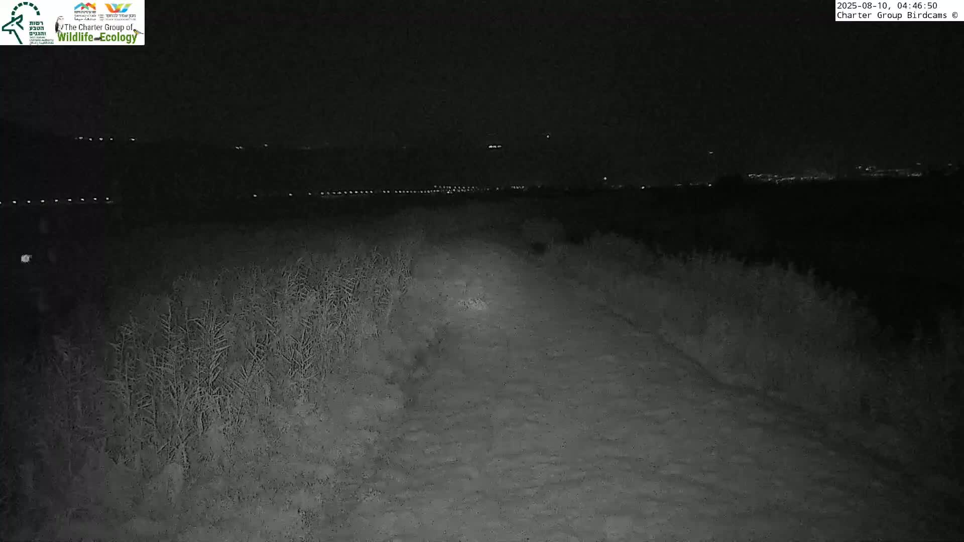 Israel-Syria Border Animal Life, Golan Hills & (Mount Hermon)/Jabal al Shaykh View from Hula Nature Reserve Live Cam - Yesud Hamaala, Northern, Israel