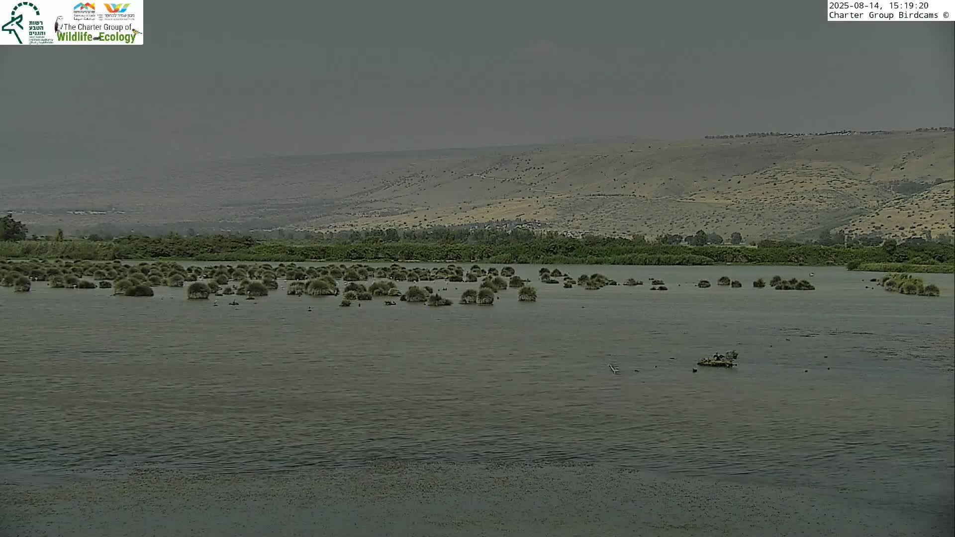 Israel-Syria Border Animal Life, Golan Hills & (Mount Hermon)/Jabal al Shaykh View from Hula Nature Reserve Live Cam - Yesud Hamaala, Northern, Israel