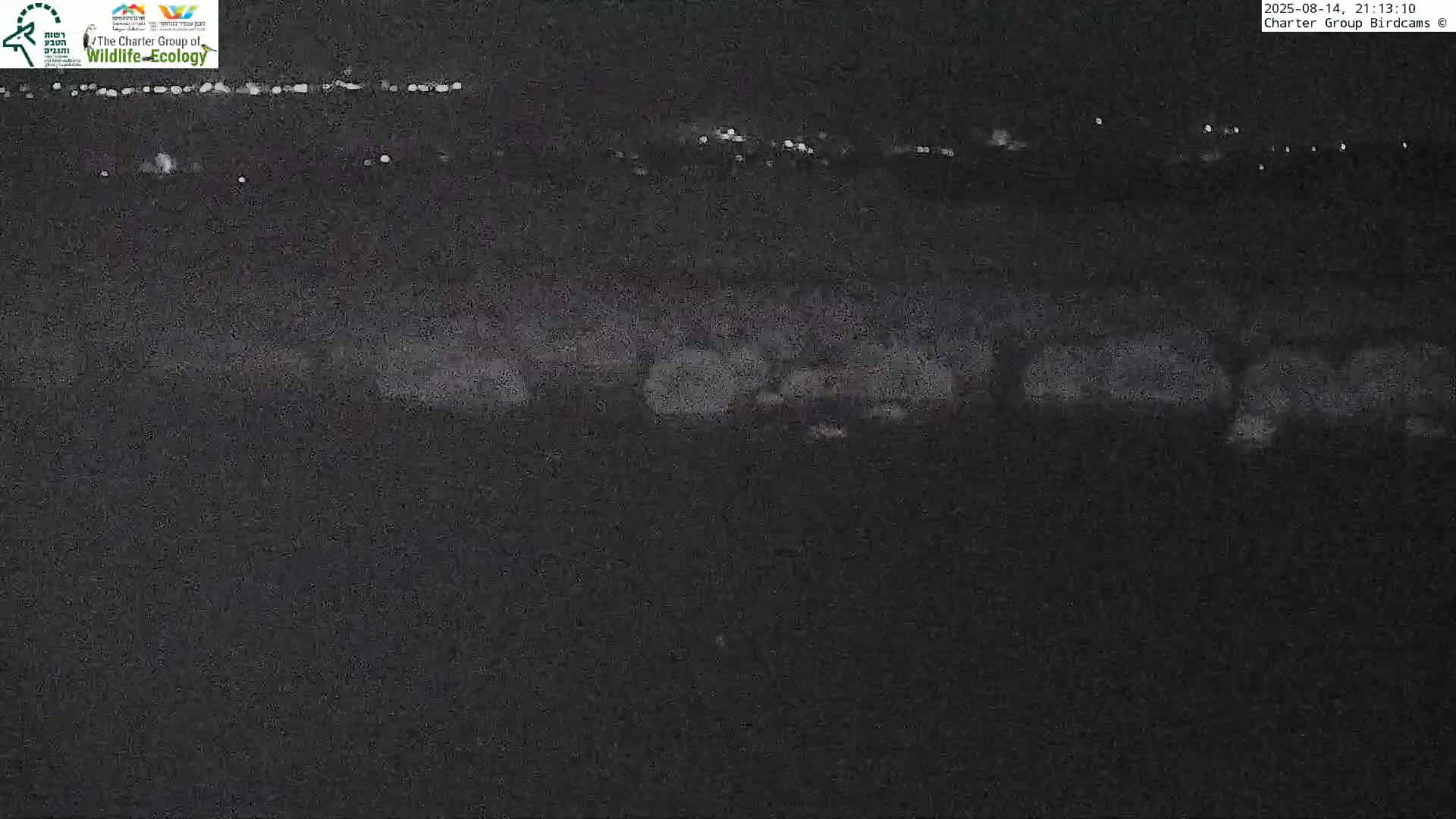 Israel-Syria Border Animal Life, Golan Hills & (Mount Hermon)/Jabal al Shaykh View from Hula Nature Reserve Live Cam - Yesud Hamaala, Northern, Israel