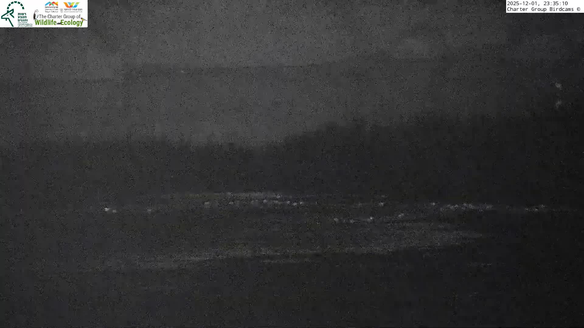 Israel-Syria Border Animal Life, Golan Hills & (Mount Hermon)/Jabal al Shaykh View from Hula Nature Reserve Live Cam - Yesud Hamaala, Northern, Israel